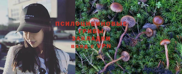 сатива Белоозёрский