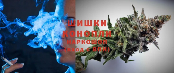 сатива Белоозёрский